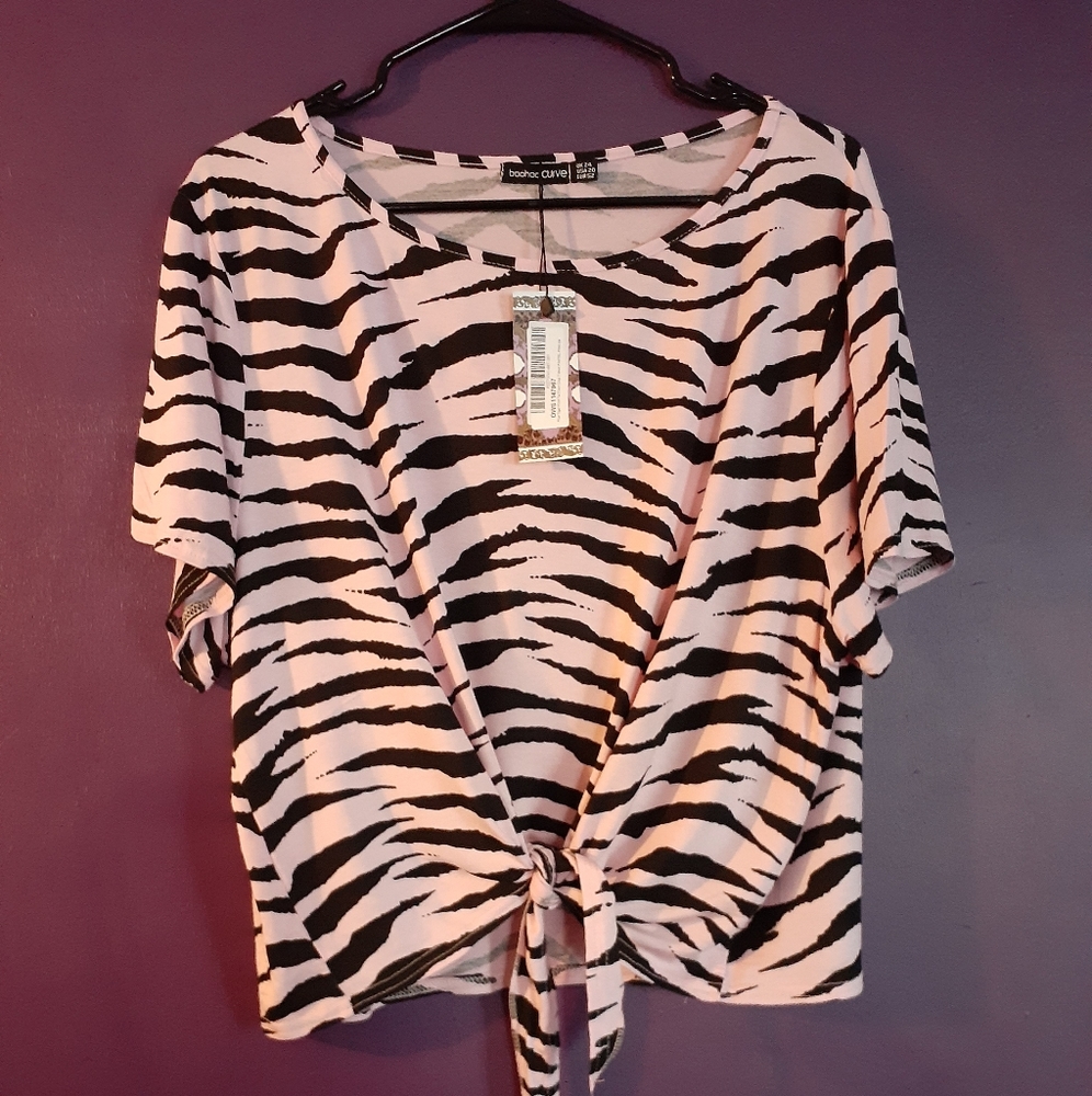 Plus size Pink Crop Top